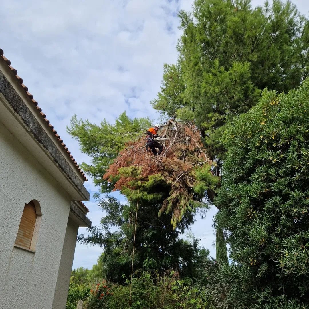 Messa in sicurezza adiacenze abitazioni